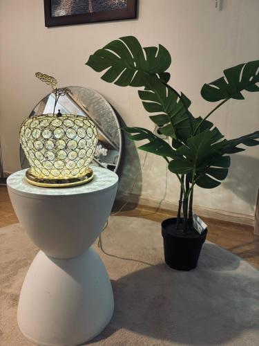 Létesítmények, Stay Runner Lee in Yangcheon-gu kerület