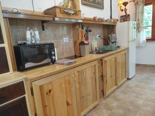 virtuve, Къща за гости Аврамови in Ribaritsa