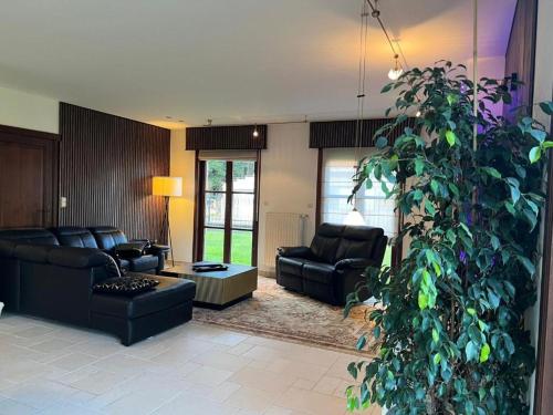 Villa op de hoek Rooms in อาลัสท์