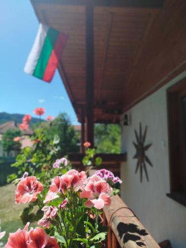 Къща за гости Аврамови, Ribarica (foto 3)
