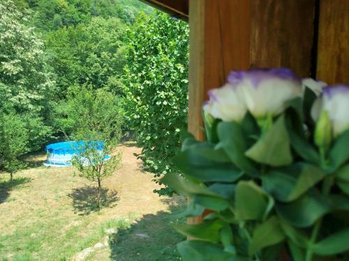 Къща за гости Аврамови, Ribarica (foto 10)