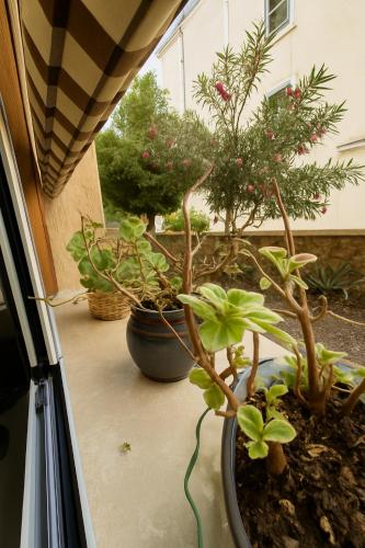Casetta Beatrice Cozy Flat near Vatican, Roma (foto 10)