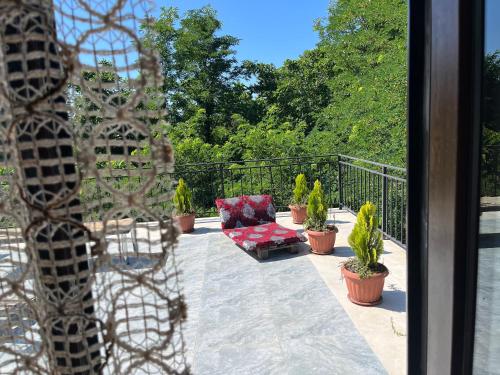 OK Sakhli VIP in Shekvetili