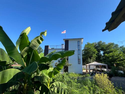 OK Sakhli VIP in Shekvetili