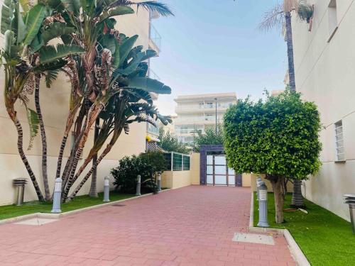 Apartamento 1ª línea playa con piscina y parking (Apartamento 1ª linea playa con piscina y parking) in Daimuz