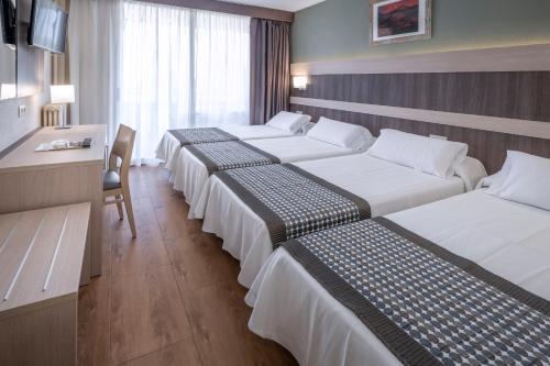 4R Playa Park - image 3