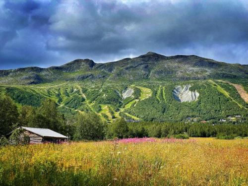 Kittelfjäll Vandrarhem (Kittelfjall Vandrarhem) in 키텔피얄