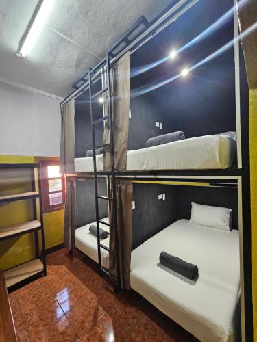 One Day Trip Hostel, Antigua Guatemala (foto 3)