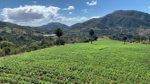 Nice mountain cabin, with the best view in San Jose de Ocoa