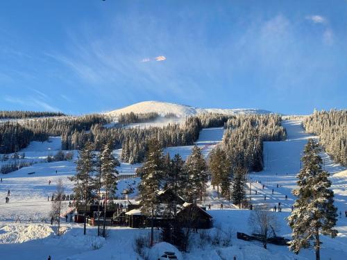 ทัศนียภาพ, Trysil Alpine Lodge - 510 in ทรีซิล