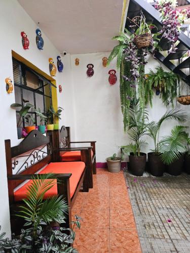 One Day Trip Hostel, Antigua Guatemala (foto 7)