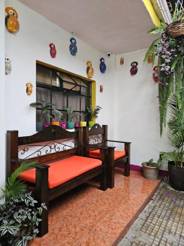 One Day Trip Hostel, Antigua Guatemala (foto 8)