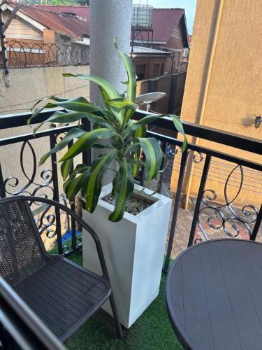 Semera Apartments - image 4