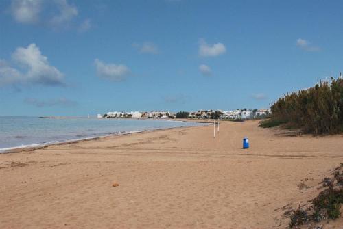 Beach, Apartamentos Alberca - Deniasol in Els Molins Beach