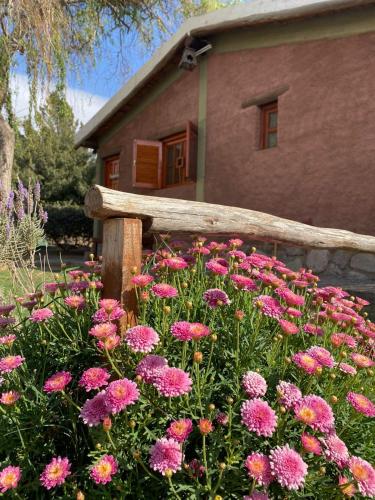 cabañas las viñas
