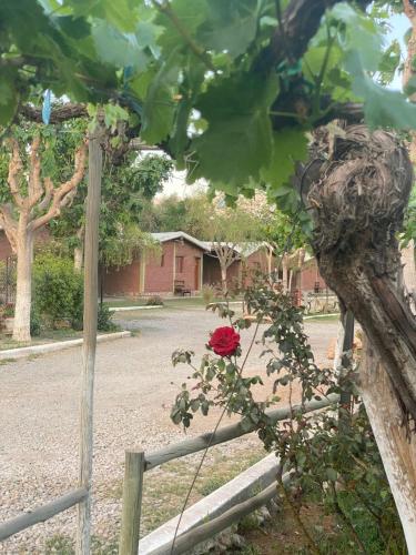 cabañas las viñas (cabanas las vinas) in Anguinán