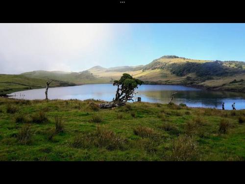 กีฬาและกิจกรรมสันทนาการ, Adega do capitao in เฟเตรา