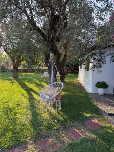 Oasis, Città di Skiathos (foto 5)