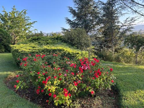 Villa Bellavista Luxury Suites in แอล อักควิลา