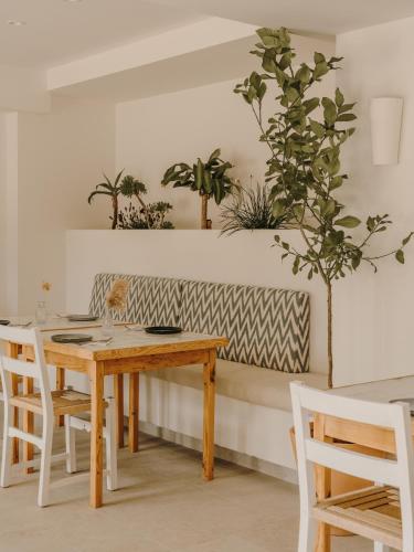 Ibara Ibiza Hotel Boutique – Es Canar, NJ