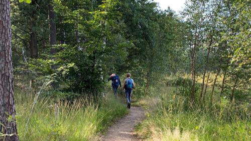 กีฬาและกิจกรรมสันทนาการ, Vakantiehuis Lochem in เฟอร์สไพรเดอ เฮาเชน เฮต เฟน เอน โกรเทอ เฟลด์