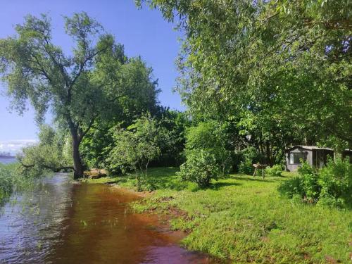 Minimalist riverside hideout, Riga (Foto 9)