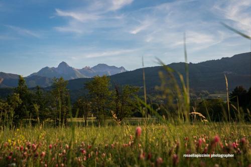 Цікаві місця поруч, BENVENUTI A CASA PAOLA , WELCOME IN GARFAGNANA! in Кастельнуово ді Garfagnana
