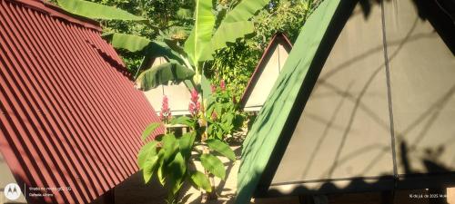 Cabanas Praia do Sono 1 in Ponta Negra
