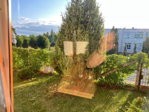Apartament Wiosełko