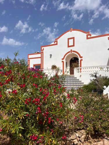 ทัศนียภาพภายนอกโรงแรม, Villa Madeira in เมเดย์โรส