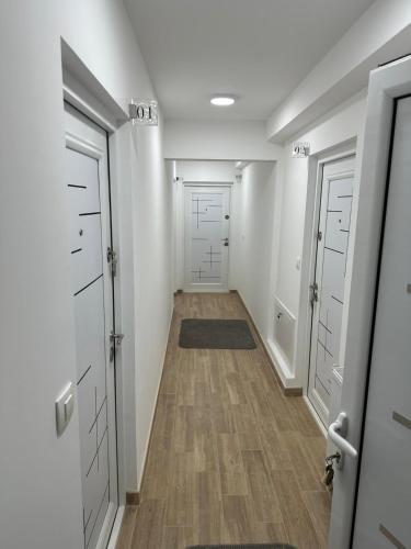 Apartmani Milinkovic in Drijetanj