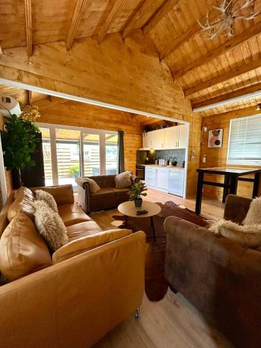 New cozy chalet with jacuzzi and home cinema near Amsterdam in Boerhaavewijk