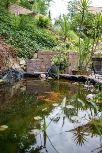 Das kleine Landhotel im Fichtelgebirge - Accommodation - Fichtelberg