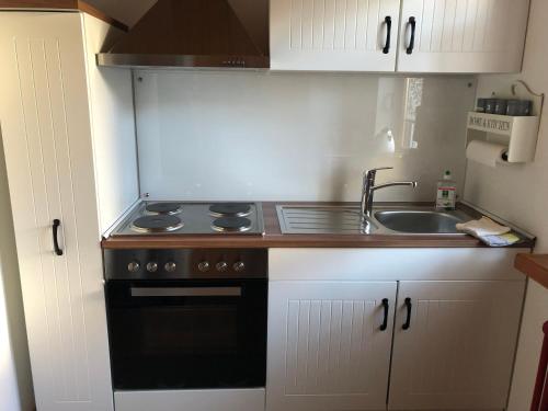 virtuve, Ferienwohnung Stadtlandfluss in Kehl
