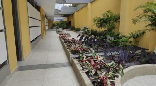 lAS PALMAS PENTHOUSE 360 - image 2