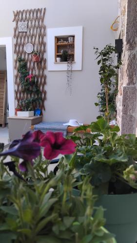 Apsinthium, Kalymnos (fotografie 6)
