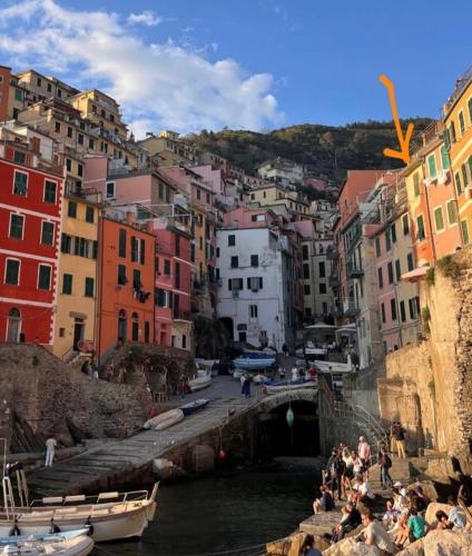 Mistral, Riomaggiore (Foto 5)