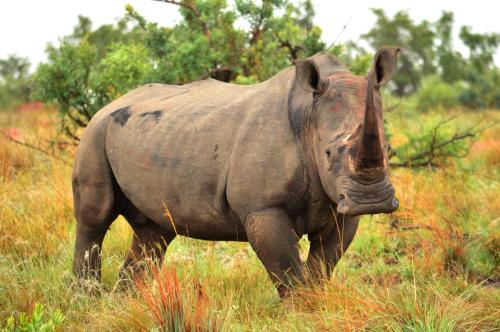 57 Waterberg