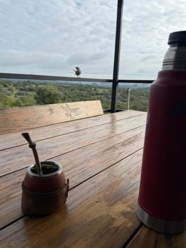 calma chic in Villa Serrana