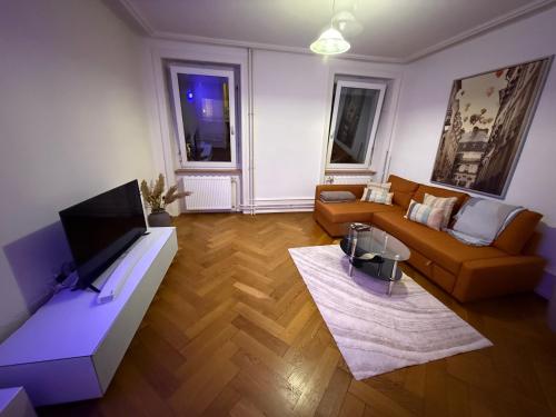 Chill and Tranquil in St Johann near Novartis Campus, Bâle (photo 9)