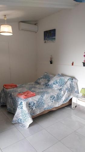 Cocofiolo studio in Le Carbet