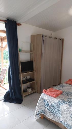 Cocofiolo studio in Le Carbet