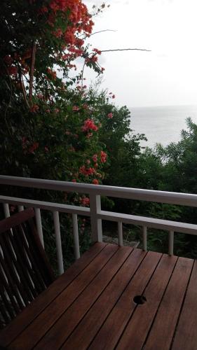 Cocofiolo studio in Le Carbet