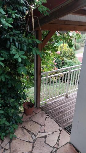 Cocofiolo studio in Le Carbet