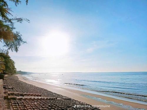 Resort HAVANA - 주변 명소