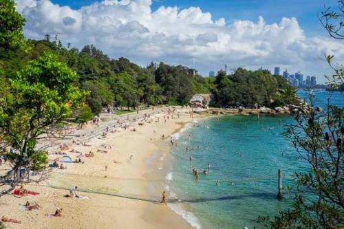 Bright 2-Bed Flat with Balcony in Vaucluse - image 6