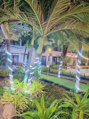 Resort HAVANA - 숙소 외관