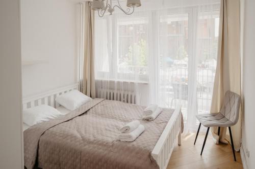 Wita Stwosza Rynek Apartament Wrocław, Breslau (Foto 5)