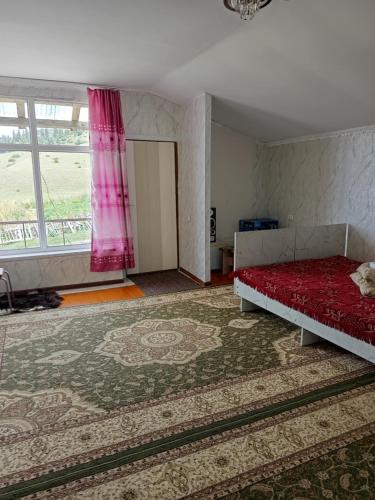 Guest house grizzly in Jergalan