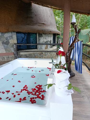 Whirlpool, Dream Cliff Mountain Resort in Haputale